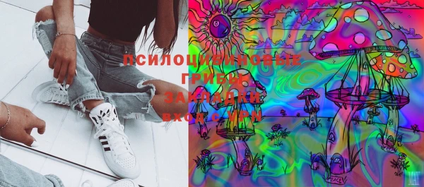 спиды Тобольск