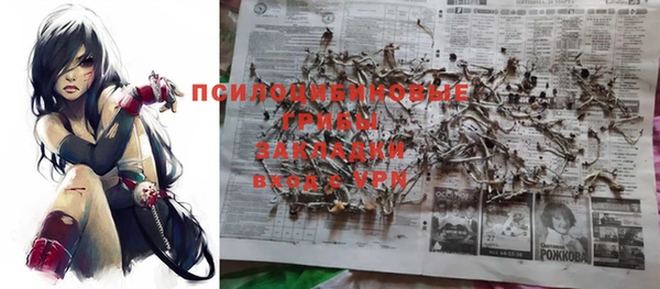 герыч Тутаев