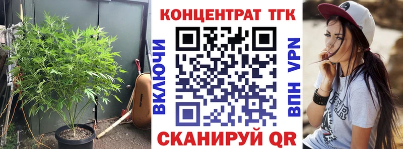 ТГК концентрат  Купить  Солигалич 