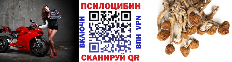 Купить закладки  Солигалич  Псилоцибиновые грибы мухоморы